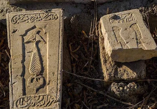 جستجو برای گنج و دفینه