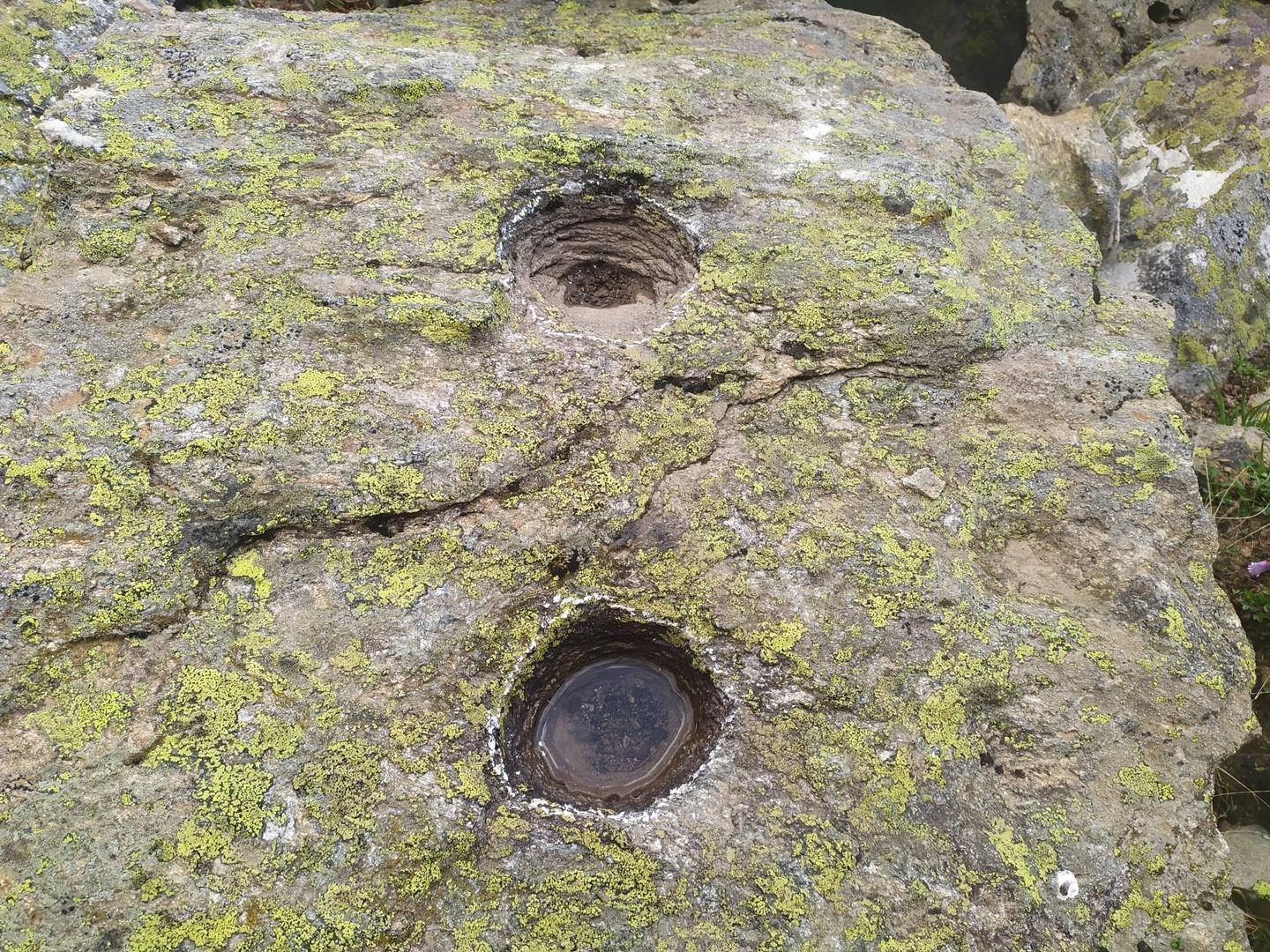 نمونه جوغن گرد روی صخره