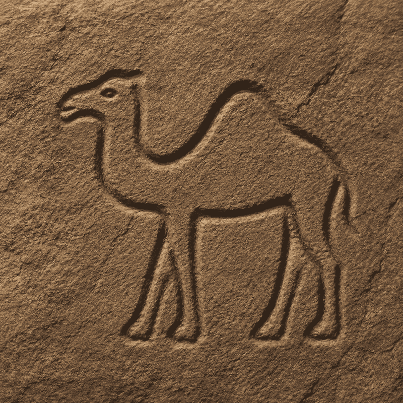 نماد و جوغن شتر